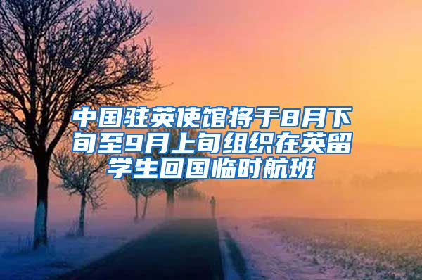 中國(guó)駐英使館將于8月下旬至9月上旬組織在英留學(xué)生回國(guó)臨時(shí)航班