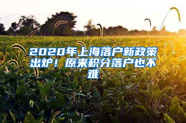 2020年上海落戶新政策出爐！原來積分落戶也不難