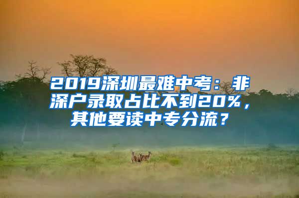 2019深圳最難中考：非深戶錄取占比不到20%，其他要讀中專分流？