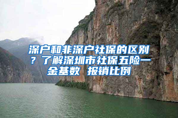 深戶和非深戶社保的區(qū)別？了解深圳市社保五險(xiǎn)一金基數(shù) 報(bào)銷比例