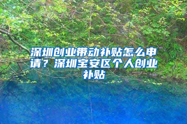 深圳創(chuàng)業(yè)帶動補貼怎么申請？深圳寶安區(qū)個人創(chuàng)業(yè)補貼