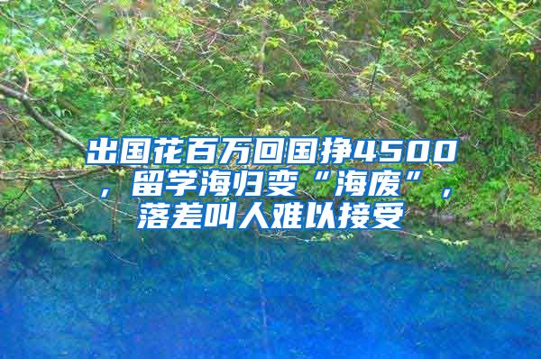 出國花百萬回國掙4500，留學海歸變“海廢”，落差叫人難以接受