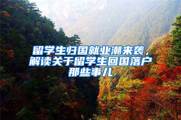 留學(xué)生歸國就業(yè)潮來襲，解讀關(guān)于留學(xué)生回國落戶那些事兒