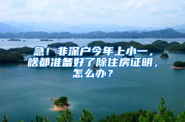 急！非深戶(hù)今年上小一，啥都準(zhǔn)備好了除住房證明，怎么辦？