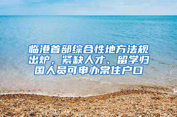 臨港首部綜合性地方法規(guī)出爐，緊缺人才、留學(xué)歸國(guó)人員可申辦常住戶口