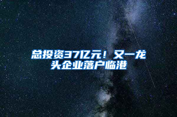 總投資37億元！又一龍頭企業(yè)落戶臨港