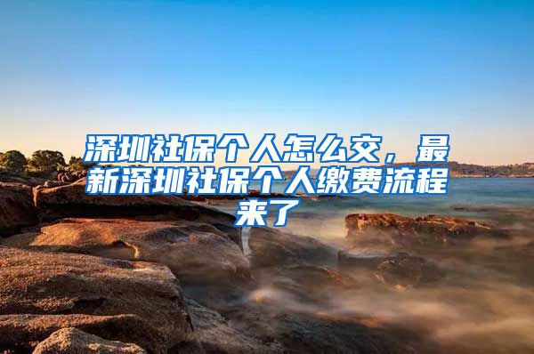 深圳社保個(gè)人怎么交，最新深圳社保個(gè)人繳費(fèi)流程來了