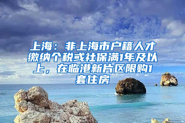 上海：非上海市戶籍人才繳納個稅或社保滿1年及以上，在臨港新片區(qū)限購1套住房