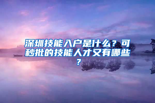 深圳技能入戶是什么？可秒批的技能人才又有哪些？