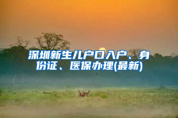 深圳新生兒戶口入戶、身份證、醫(yī)保辦理(最新)