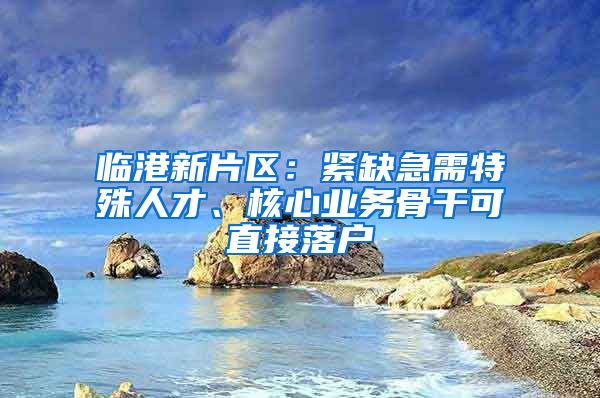 臨港新片區(qū)：緊缺急需特殊人才、核心業(yè)務(wù)骨干可直接落戶