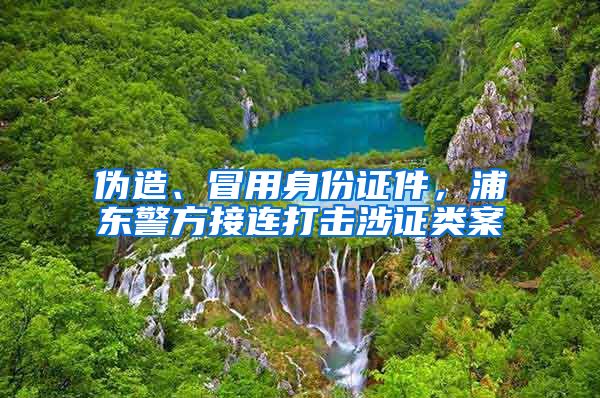 偽造、冒用身份證件，浦東警方接連打擊涉證類案