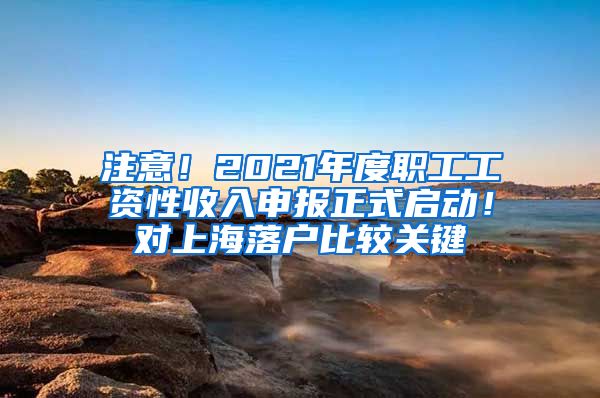 注意！2021年度職工工資性收入申報(bào)正式啟動(dòng)！對(duì)上海落戶比較關(guān)鍵