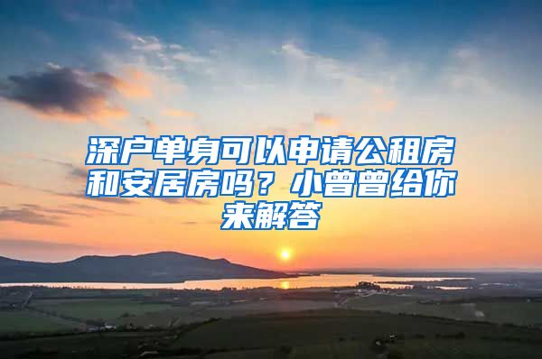 深戶單身可以申請公租房和安居房嗎？小曾曾給你來解答