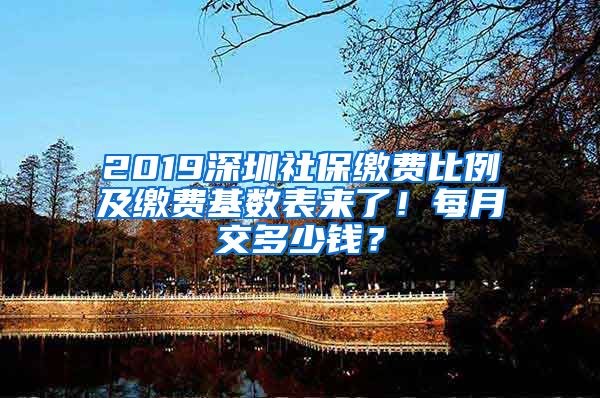 2019深圳社保繳費比例及繳費基數(shù)表來了！每月交多少錢？