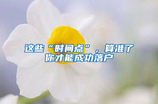 這些“時間點”，算準(zhǔn)了你才能成功落戶