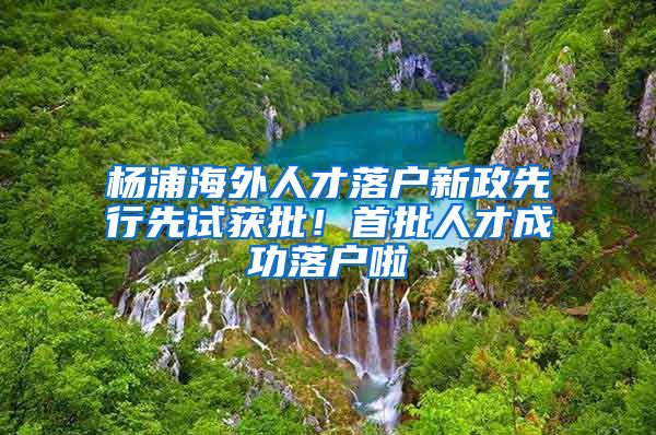 楊浦海外人才落戶新政先行先試獲批！首批人才成功落戶啦