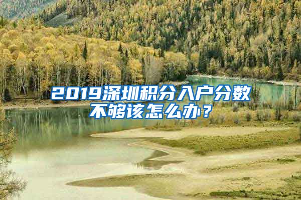 2019深圳積分入戶分?jǐn)?shù)不夠該怎么辦？