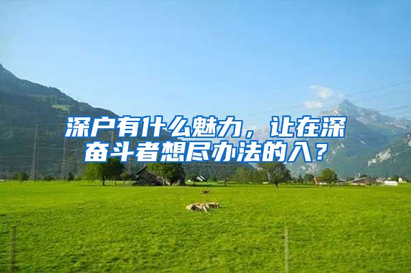 深戶有什么魅力，讓在深?yuàn)^斗者想盡辦法的入？