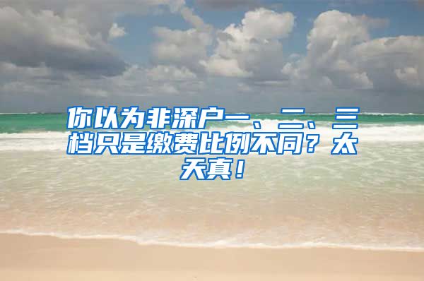 你以為非深戶一、二、三檔只是繳費(fèi)比例不同？太天真！