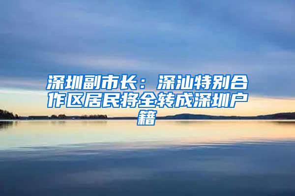 深圳副市長：深汕特別合作區(qū)居民將全轉(zhuǎn)成深圳戶籍