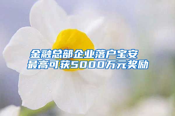 金融總部企業(yè)落戶寶安 最高可獲5000萬元獎(jiǎng)勵(lì)