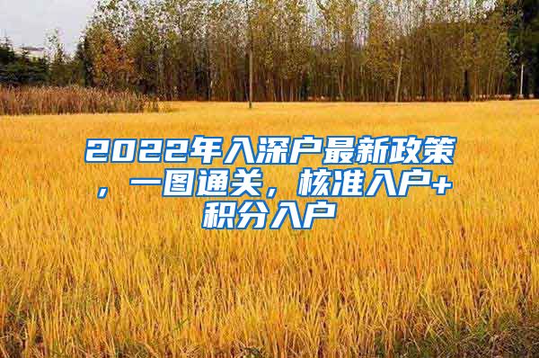 2022年入深戶最新政策，一圖通關(guān)，核準入戶+積分入戶