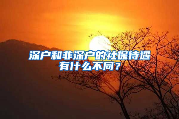 深戶和非深戶的社保待遇有什么不同？