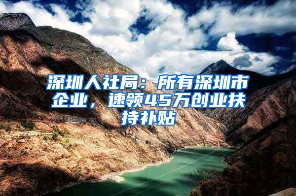 深圳人社局：所有深圳市企業(yè)，速領(lǐng)45萬創(chuàng)業(yè)扶持補貼