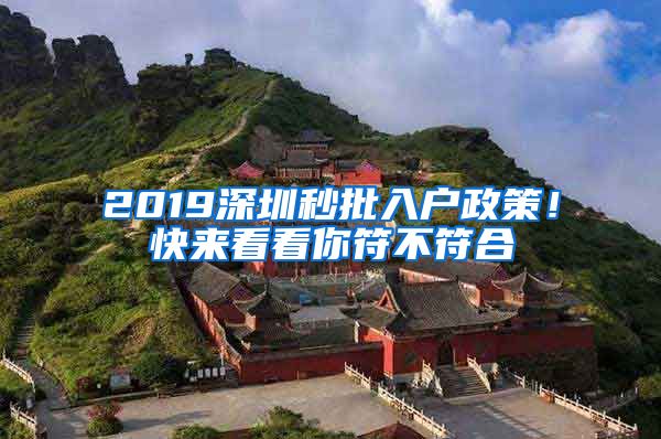 2019深圳秒批入戶政策！快來看看你符不符合