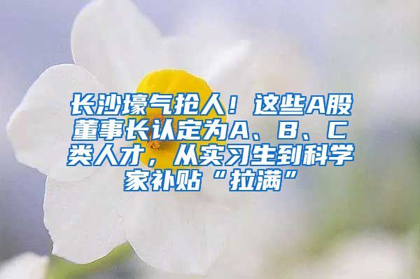 長(zhǎng)沙壕氣搶人！這些A股董事長(zhǎng)認(rèn)定為A、B、C類人才，從實(shí)習(xí)生到科學(xué)家補(bǔ)貼“拉滿”