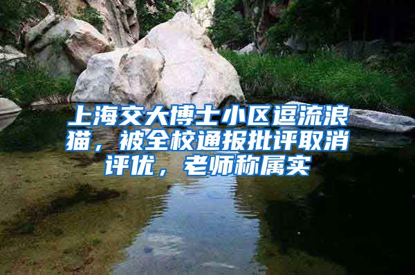 上海交大博士小區(qū)逗流浪貓，被全校通報批評取消評優(yōu)，老師稱屬實