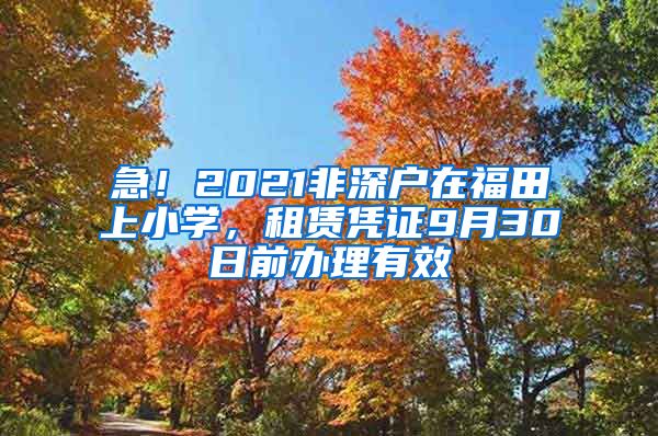 急！2021非深戶在福田上小學(xué)，租賃憑證9月30日前辦理有效