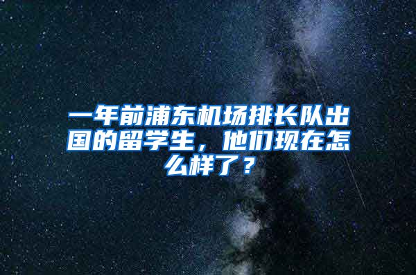 一年前浦東機(jī)場(chǎng)排長(zhǎng)隊(duì)出國(guó)的留學(xué)生，他們現(xiàn)在怎么樣了？