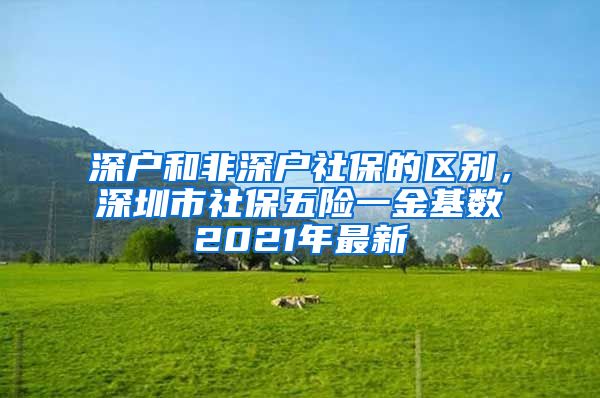 深戶和非深戶社保的區(qū)別，深圳市社保五險一金基數(shù)2021年最新