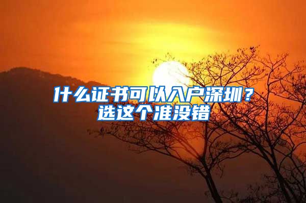 什么證書可以入戶深圳？選這個準(zhǔn)沒錯