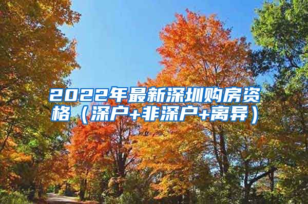 2022年最新深圳購房資格（深戶+非深戶+離異）