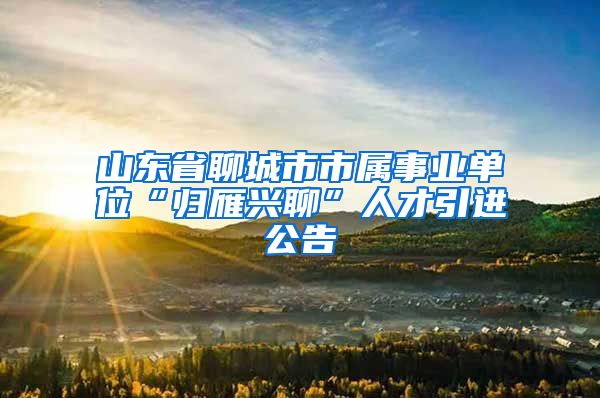 山東省聊城市市屬事業(yè)單位“歸雁興聊”人才引進(jìn)公告