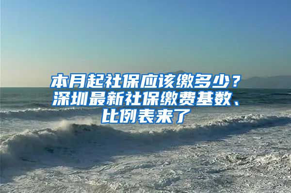 本月起社保應(yīng)該繳多少？深圳最新社保繳費(fèi)基數(shù)、比例表來了