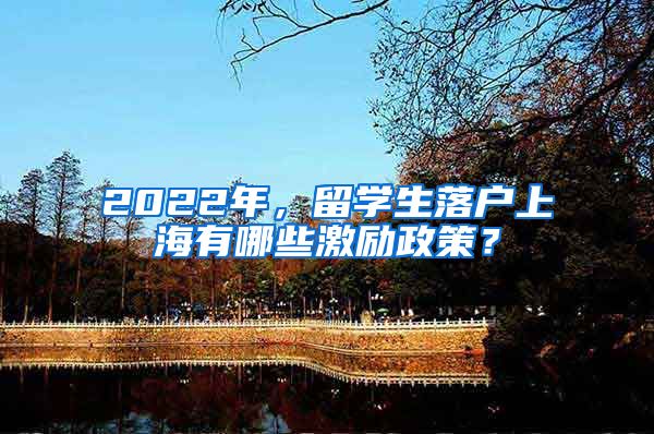 2022年，留學(xué)生落戶(hù)上海有哪些激勵(lì)政策？