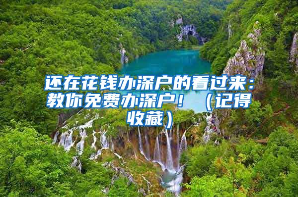 還在花錢辦深戶的看過來：教你免費(fèi)辦深戶?。ㄓ浀檬詹兀?/></p>
			 <p style=