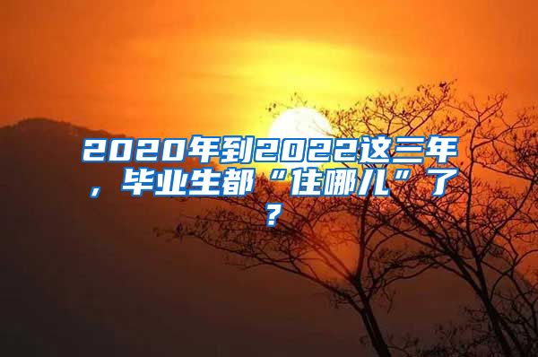 2020年到2022這三年，畢業(yè)生都“住哪兒”了？