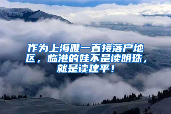 作為上海唯一直接落戶地區(qū)，臨港的娃不是讀明珠，就是讀建平！