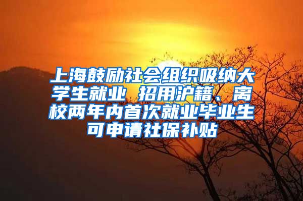 上海鼓勵社會組織吸納大學生就業(yè) 招用滬籍、離校兩年內(nèi)首次就業(yè)畢業(yè)生可申請社保補貼