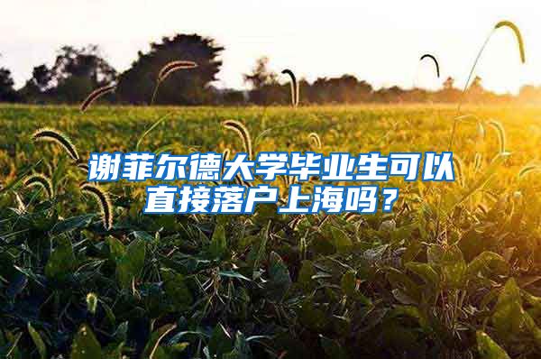 謝菲爾德大學畢業(yè)生可以直接落戶上海嗎？