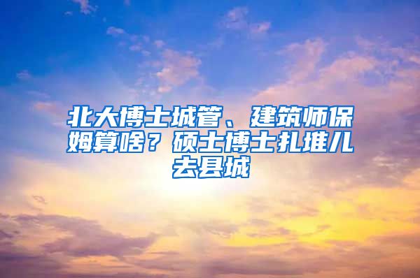 北大博士城管、建筑師保姆算啥？碩士博士扎堆兒去縣城