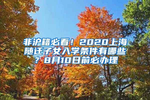 非滬籍必看！2020上海隨遷子女入學(xué)條件有哪些？8月10日前必辦理