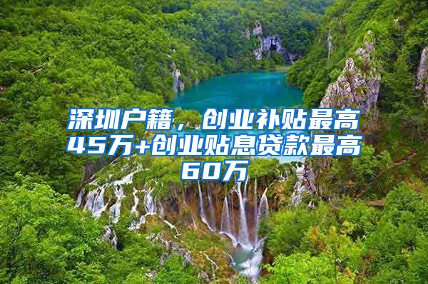 深圳戶籍，創(chuàng)業(yè)補貼最高45萬+創(chuàng)業(yè)貼息貸款最高60萬