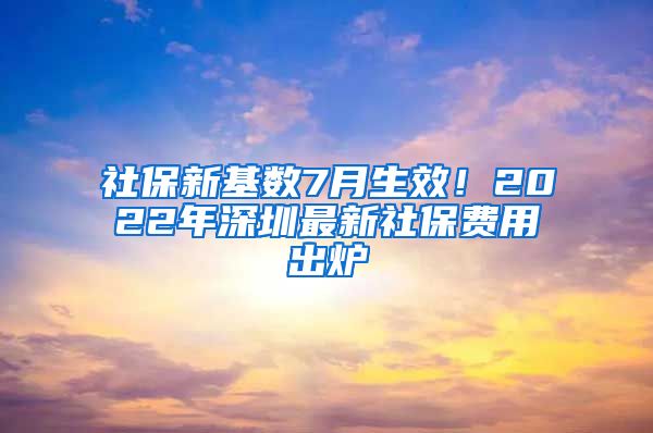 社保新基數(shù)7月生效！2022年深圳最新社保費(fèi)用出爐