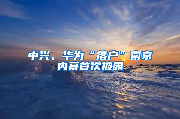 中興、華為“落戶”南京內(nèi)幕首次披露